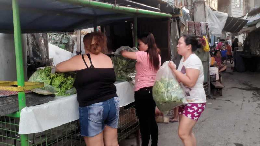 AF Organic Food Rescue 20 kg @ 3.5 points